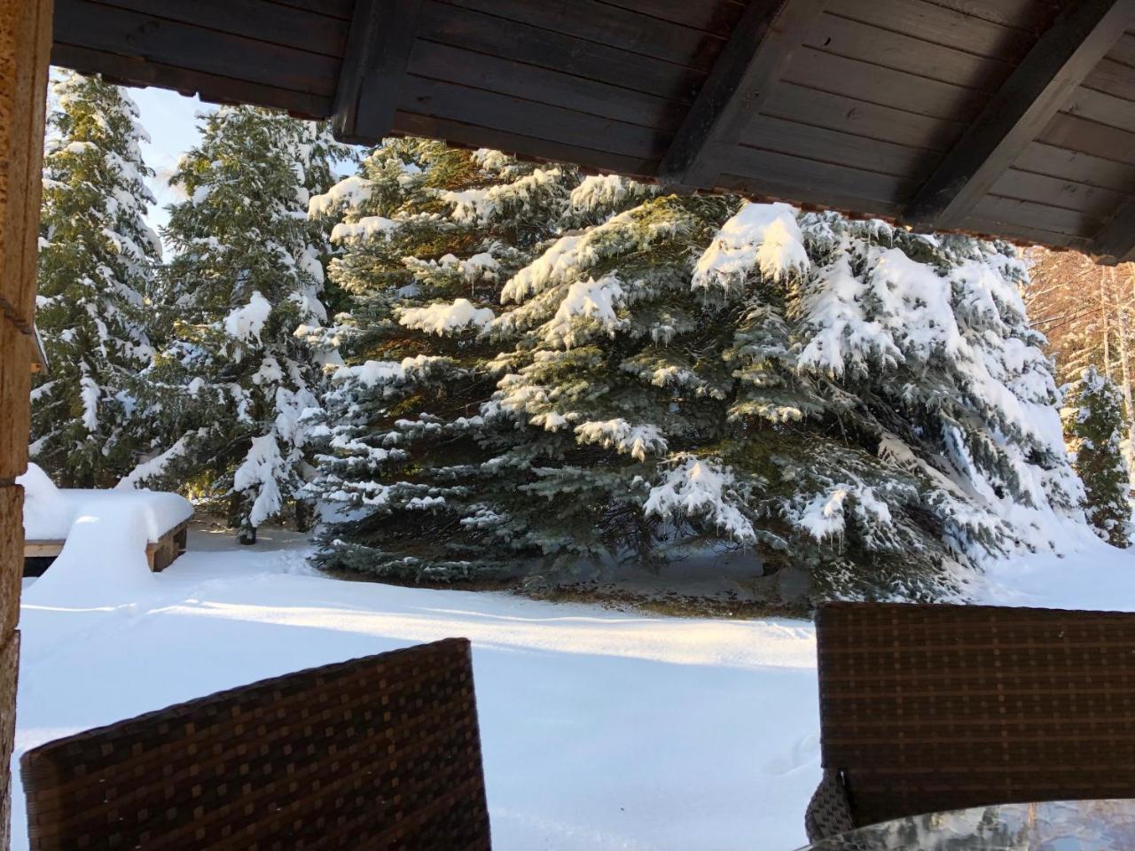 Holiday Home Vila Tejic Zlatibor Exterior foto